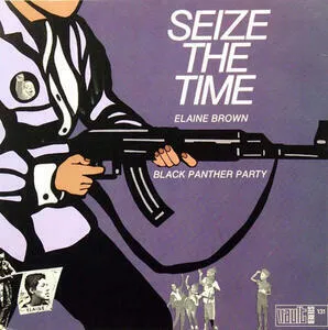 Seize the time : Black panther party